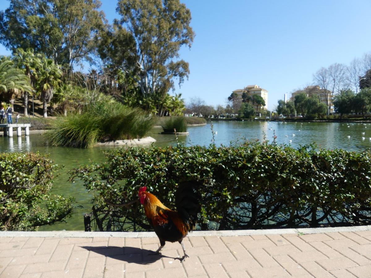 La Carihuela Torremolinos - Studio 3 - Costa Sol Holiday Rentals 외부 사진